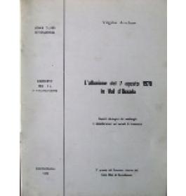 Alluvione del 7 agosto 1978 in Val d'Ossola (L')