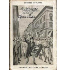 Le sciocchezze del fiol del Sgner Pirein