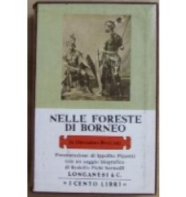 Nelle foreste di Borneo