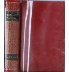 Romanzi e taccuini. Volume I