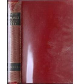 Romanzi e taccuini. Volume IV