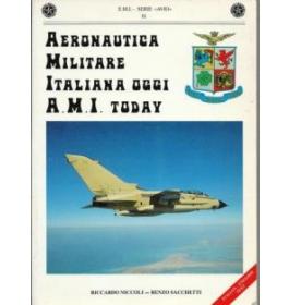 Aeronautica militare italiana oggi A.M.I. Today