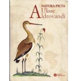Natura picta