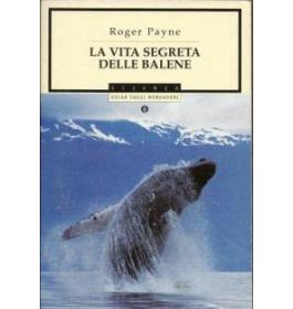 La vita segreta delle balene