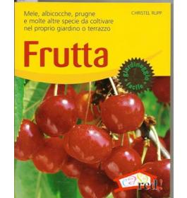 Frutta