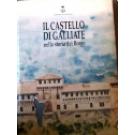 Castello di Galliate (Il)