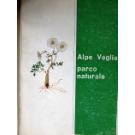Alpe Veglia parco naturale