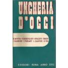 Ungheria d'oggi