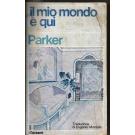 Mio mondo  qui (Il)