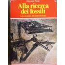 Alla ricerca dei fossili