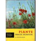 Piante erbacee selvatiche