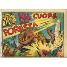 Nel cuore della foresta